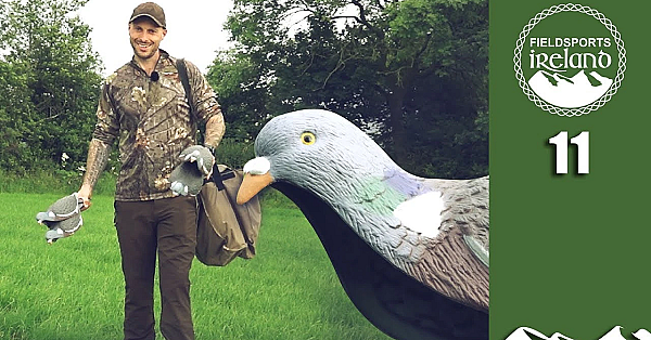 Irresistible Pigeon Patterns - Fieldsports Ireland Episode 11
