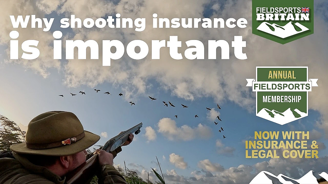 Why Shooting Insurance Is Important