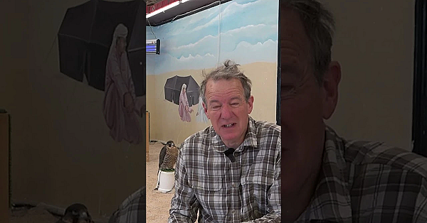 Falconry In The Gulf: A 60-second Intro