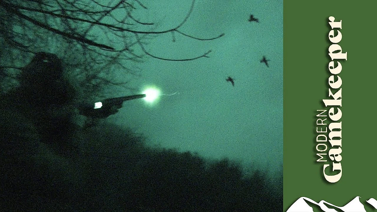 Duck Hunting : Flighting Ducks