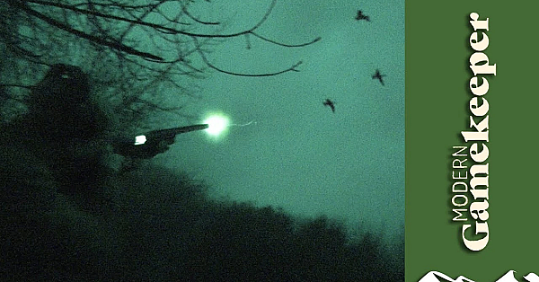 Duck Hunting : Flighting Ducks