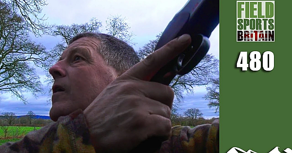 Fieldsports Britain - Crow's On The Pigeons