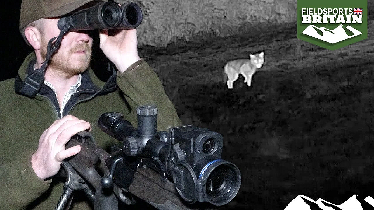 Tom Davies' Three Fox Night