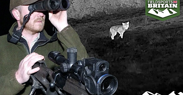 Tom Davies' Three Fox Night