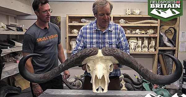 How Replica Hunting Trophies Replace The Real Thing
