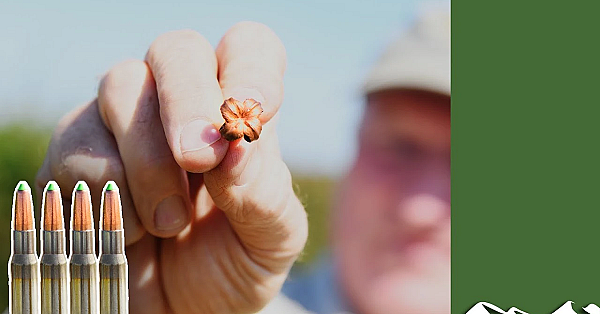 On Test: Best Copper Bullets For Deer