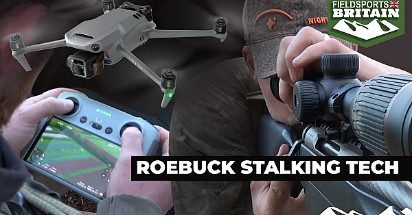 Roebuck Stalking Tech