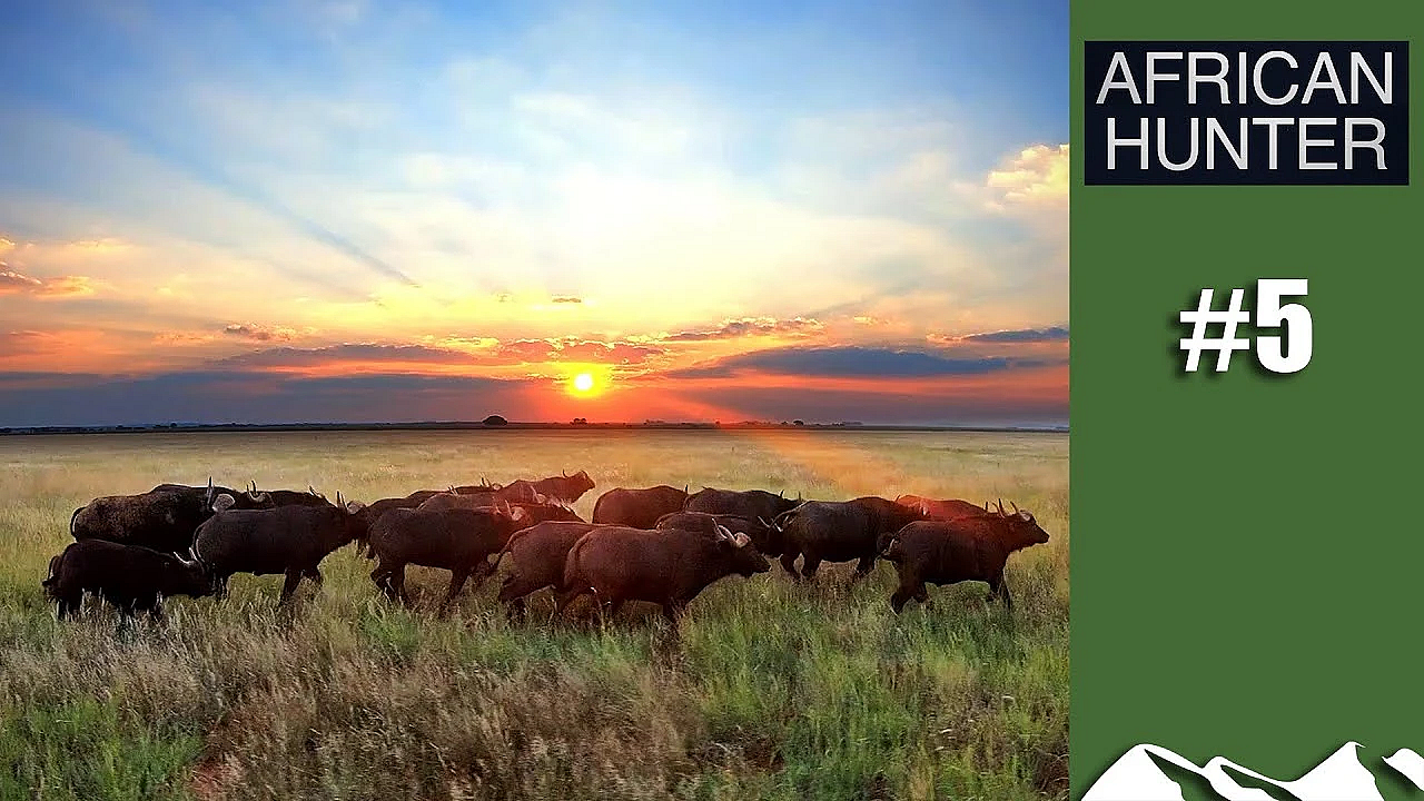 Buff And Bear - African Hunter, Episode 5