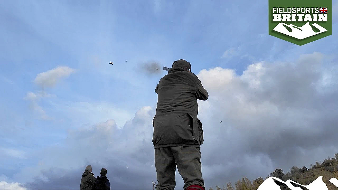 Pheasant Shooting In Glorious Worcestershire Countryside