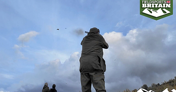Pheasant Shooting In Glorious Worcestershire Countryside