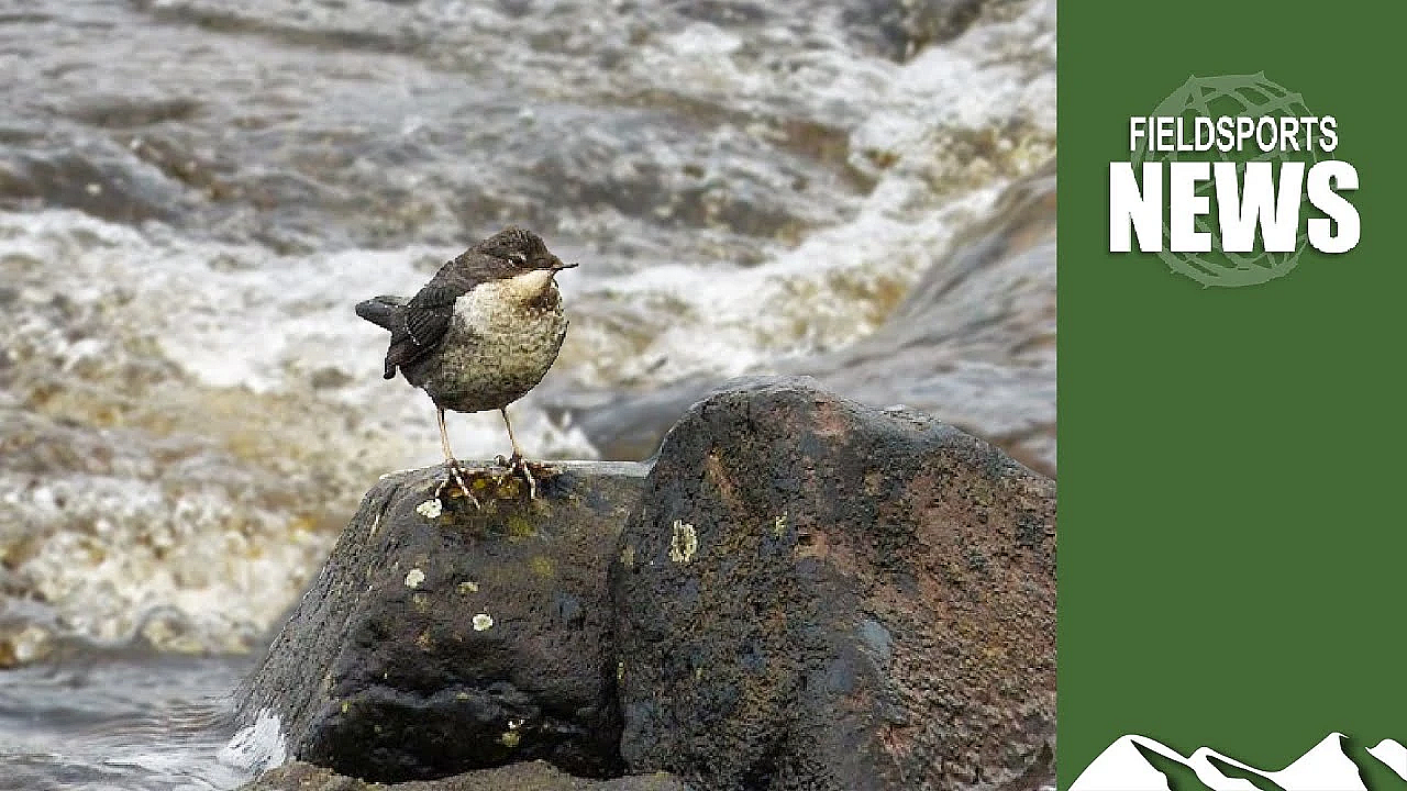 How Grousemoors Prevent Flooding