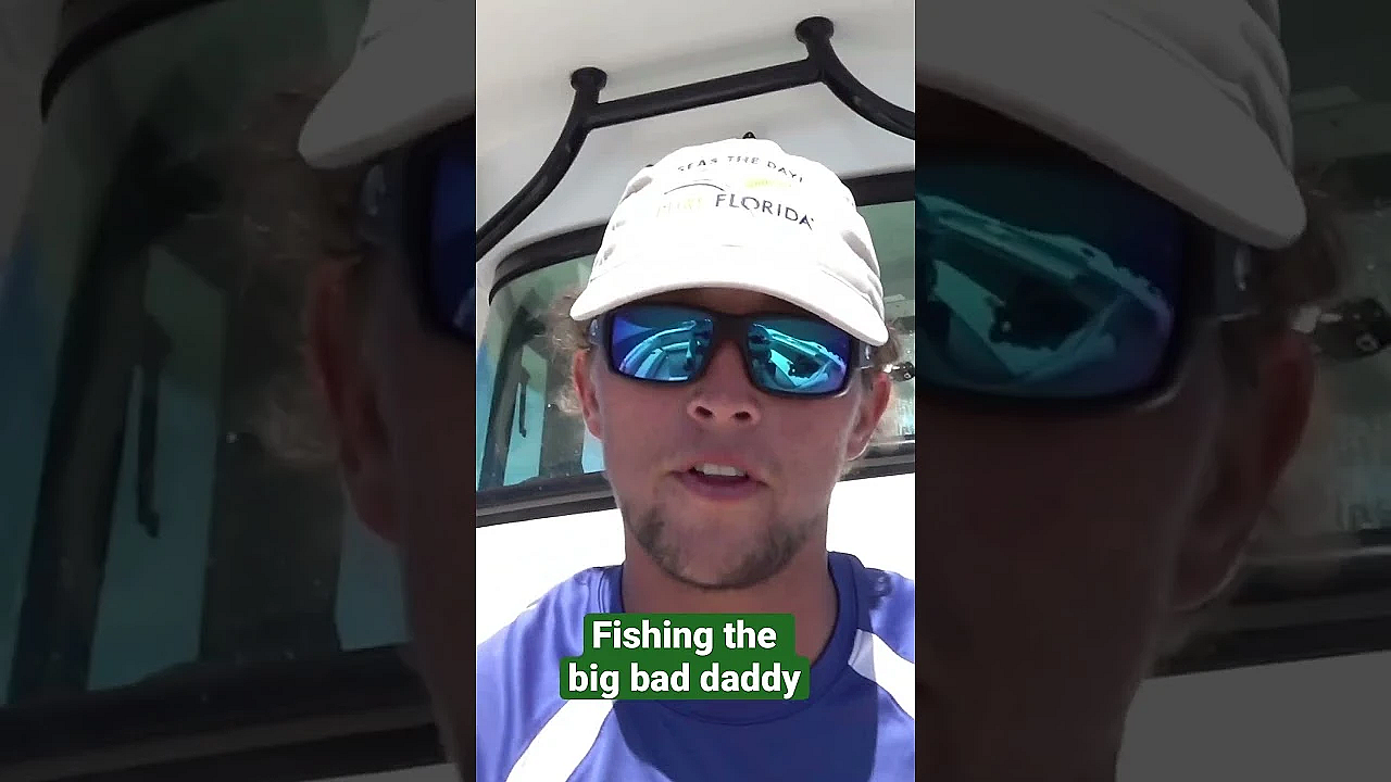 Goliath Grouper: Fishing The Big Bad Daddy #fieldsportsbritain