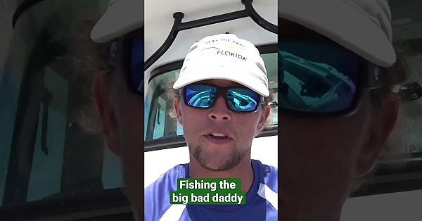 Goliath Grouper: Fishing The Big Bad Daddy #fieldsportsbritain