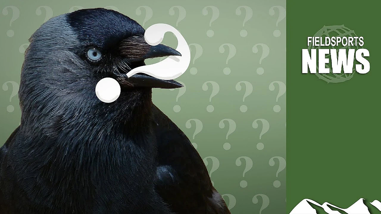 General Licences: What Do Uk Governments Plan?