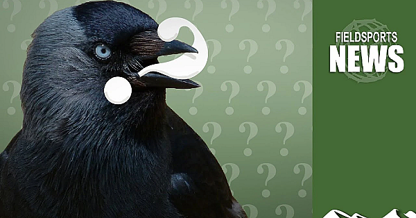 General Licences: What Do Uk Governments Plan?