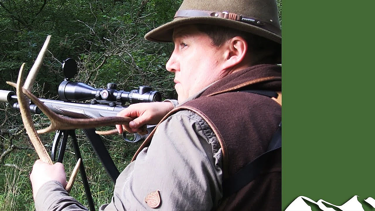 Calling Sika Stags In The Rut