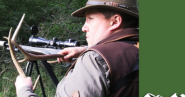 Calling Sika Stags In The Rut