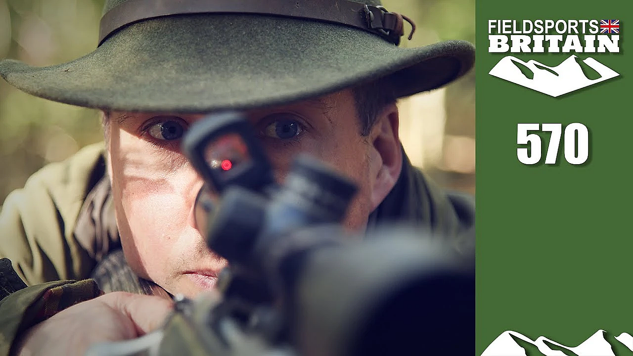 Fieldsports Britain - Deer Double In The Rut