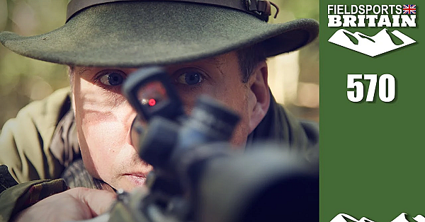 Fieldsports Britain - Deer Double In The Rut