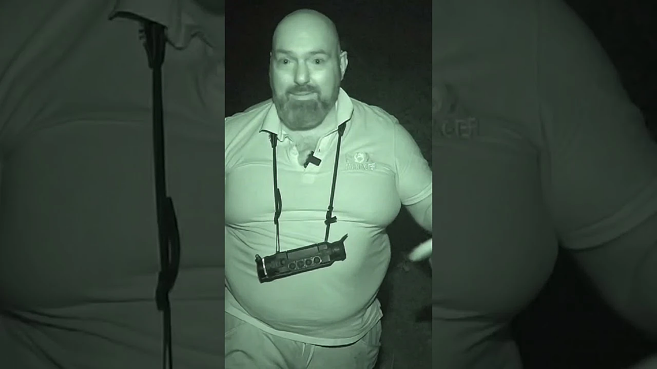 Shooting The Fox That Retrieves Rabbits  #fieldsportsbritain #foxes