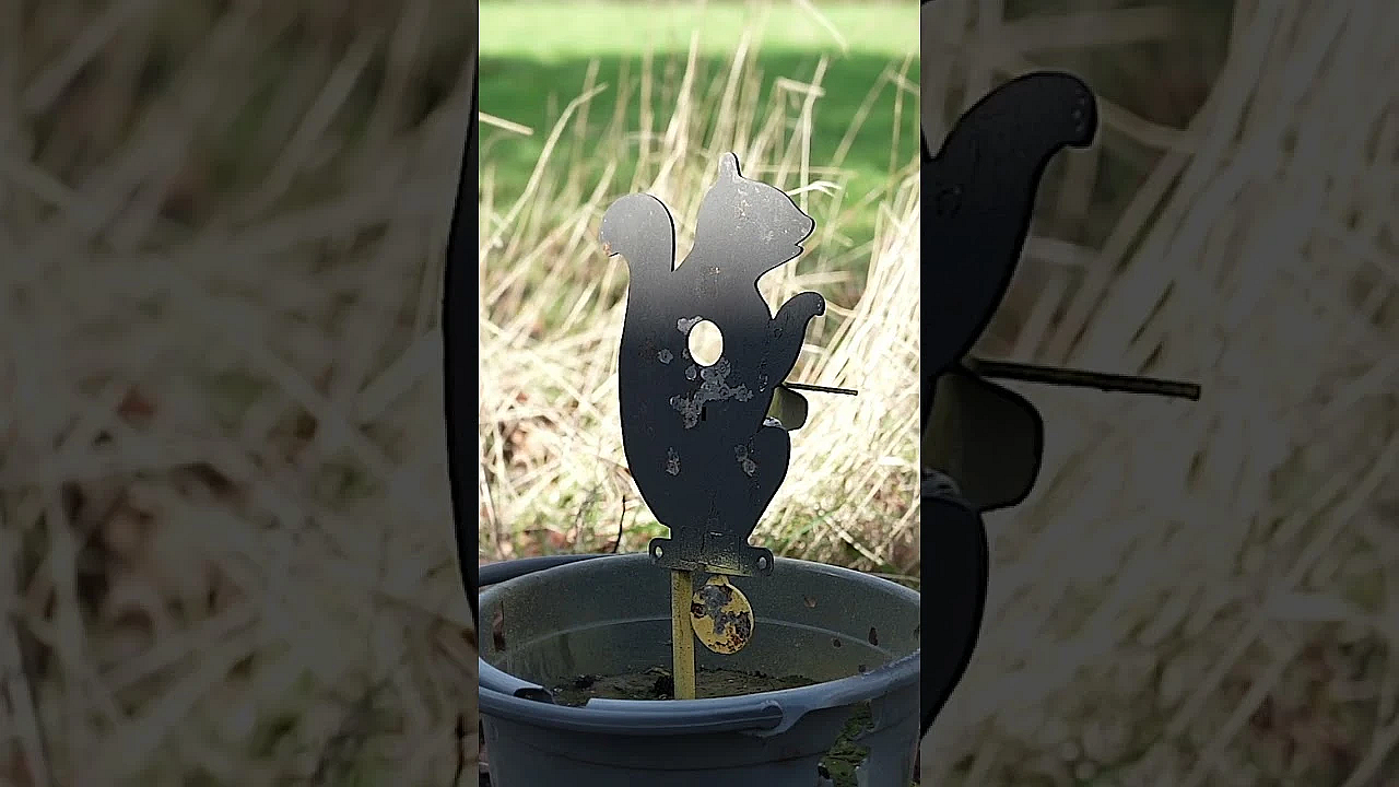 Shooting Squirrels With The High-tech #skout Evo #airgun