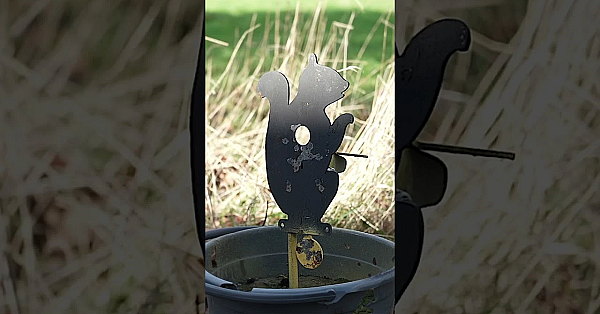 Shooting Squirrels With The High-tech #skout Evo #airgun