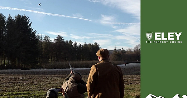 Glorious Derbyshire Pheasants With The Seated Gun