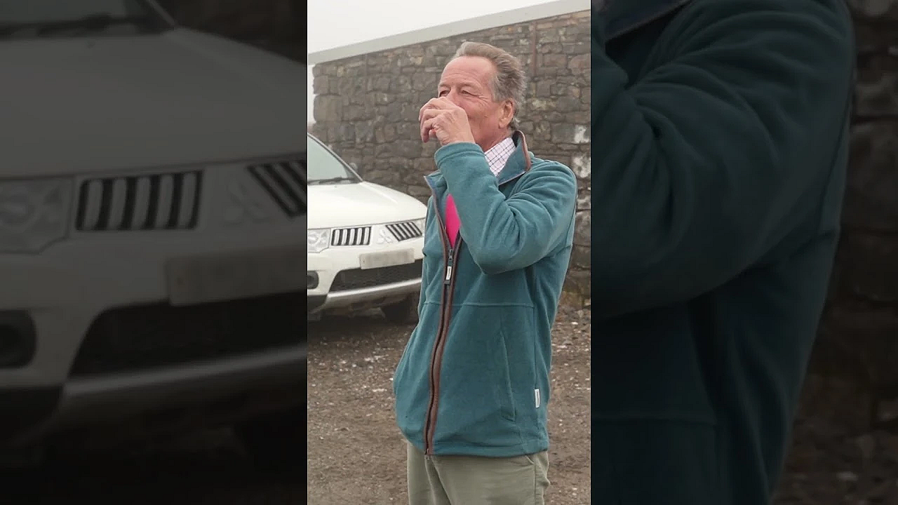 Driven #grouse On The Glorious Twelfth  #shotgun