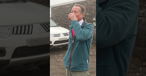 Driven #grouse On The Glorious Twelfth  #shotgun