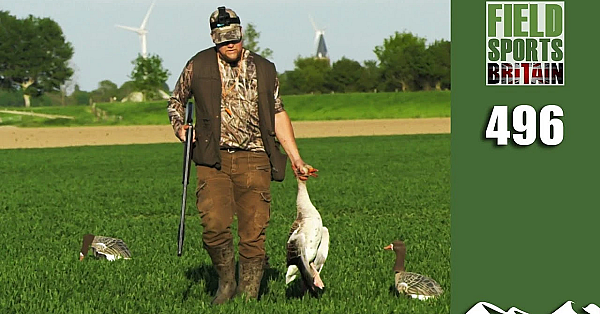 Fieldsports Britain - How The Dutch Cope With General Licences