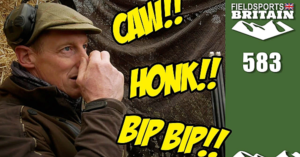 Fieldsports Britain - Paul's Uncanny Wildlife Calls