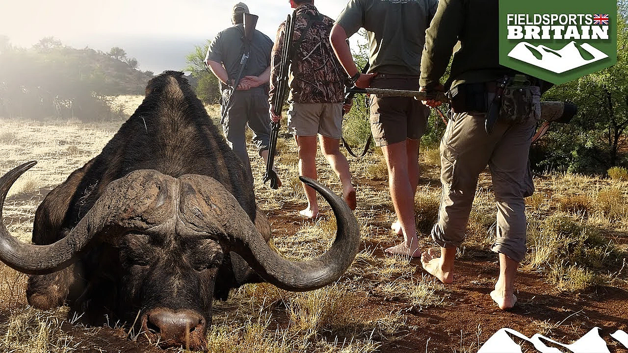 Barefoot Buffalo Hunt