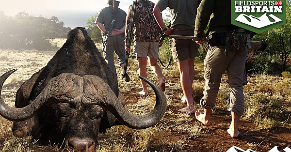 Barefoot Buffalo Hunt