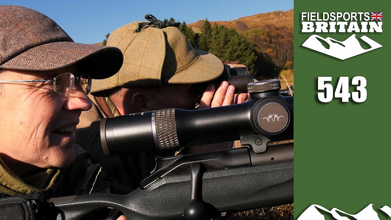 Fieldsports Britain - How To Manage A Fallow Deer Herd