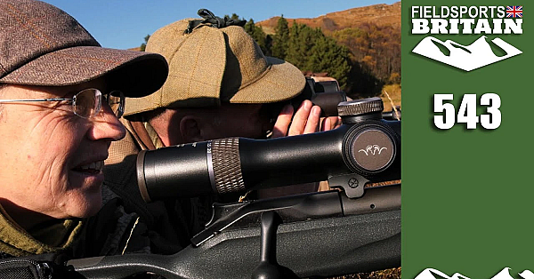 Fieldsports Britain - How To Manage A Fallow Deer Herd