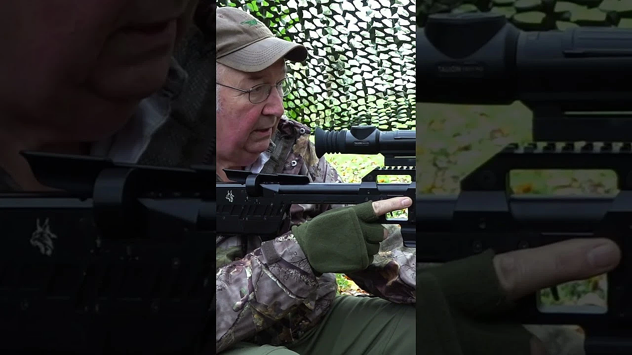 Terry Doe Is Faced With A Squirrel Conundrum.  #pestcontrol