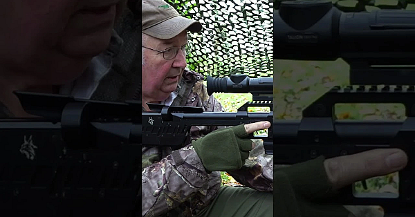 Terry Doe Is Faced With A Squirrel Conundrum.  #pestcontrol