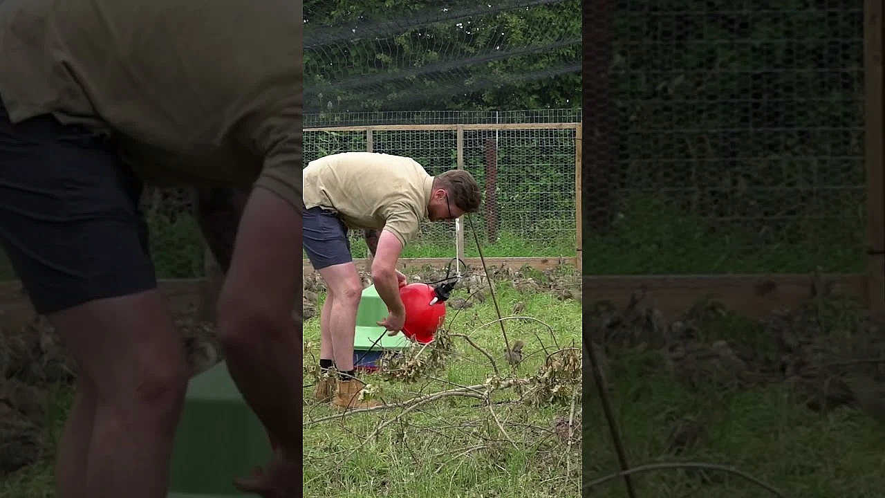 Shooting Enthusiasts Start Their Own Game Farm  #fieldsportsbritain #hunting