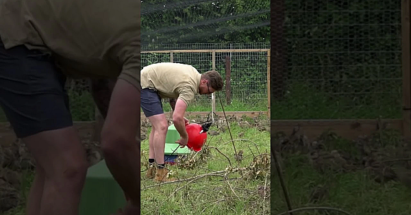 Shooting Enthusiasts Start Their Own Game Farm  #fieldsportsbritain #hunting