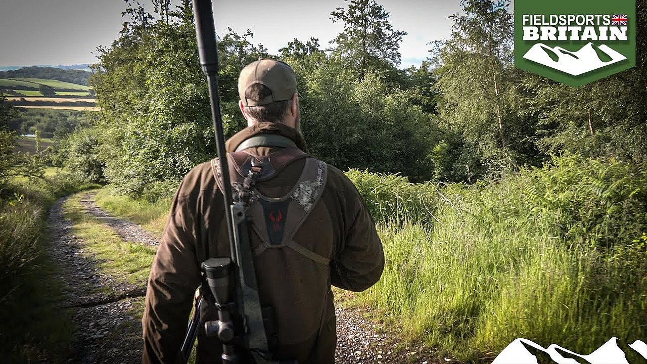 Lancashire Roebuck Stalk
