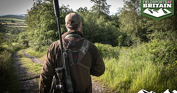 Lancashire Roebuck Stalk