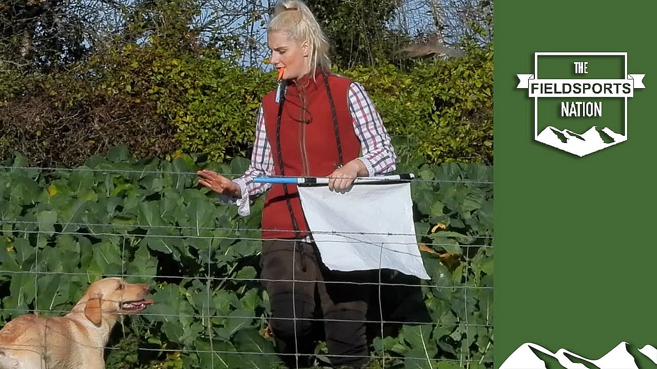Duchy College Pheasant Shoot