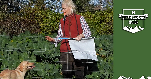 Duchy College Pheasant Shoot