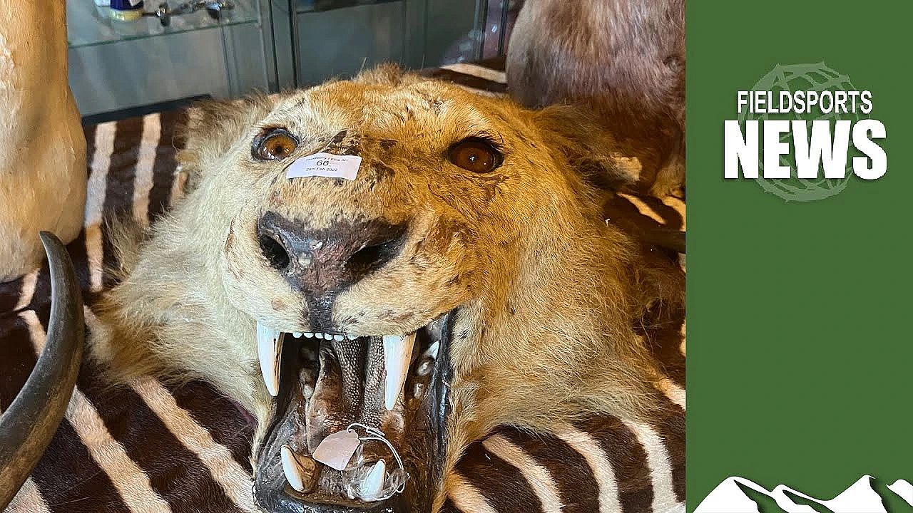 Hunting Trophies: More Fashionable Than Zac Goldsmith Would Like