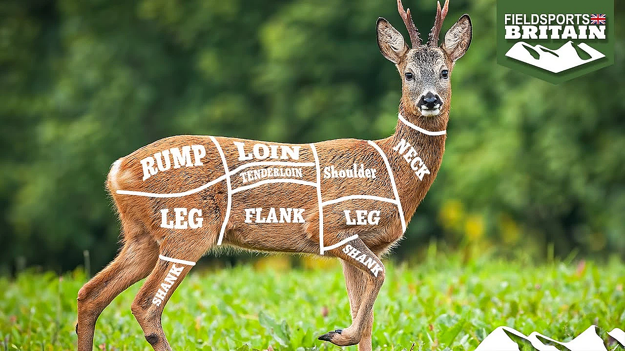 Stalking A Roe For Its Cuts