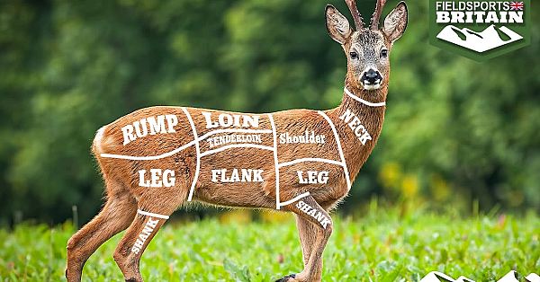 Stalking A Roe For Its Cuts