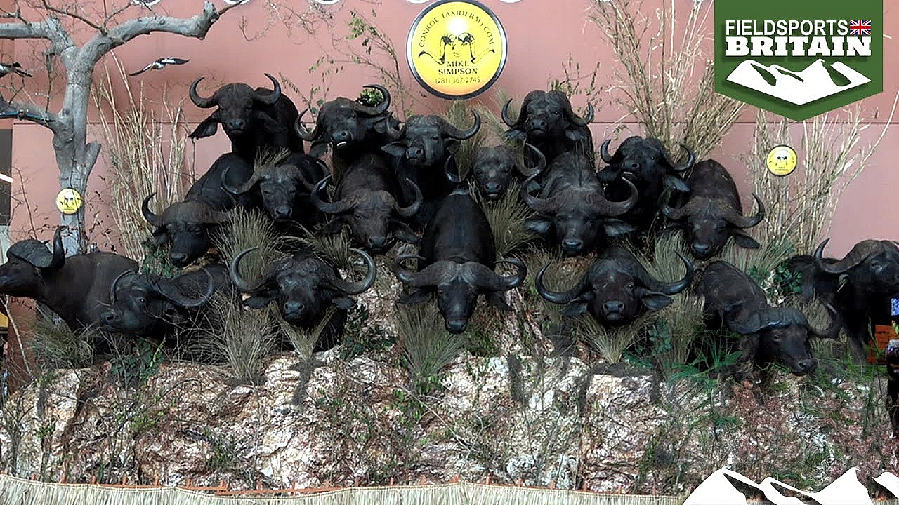 Trophy Import Bans: Are They Contagious?