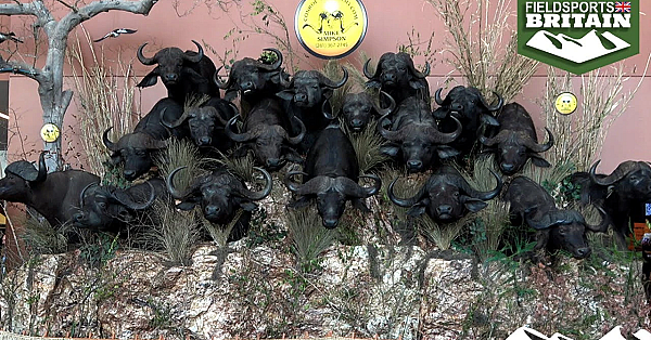 Trophy Import Bans: Are They Contagious?