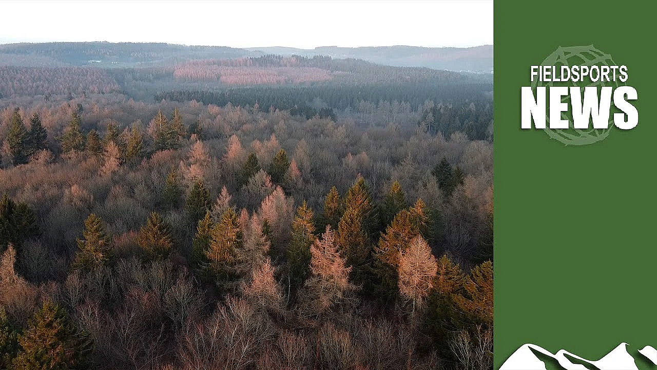 Battle Over 'tax Break Trees'