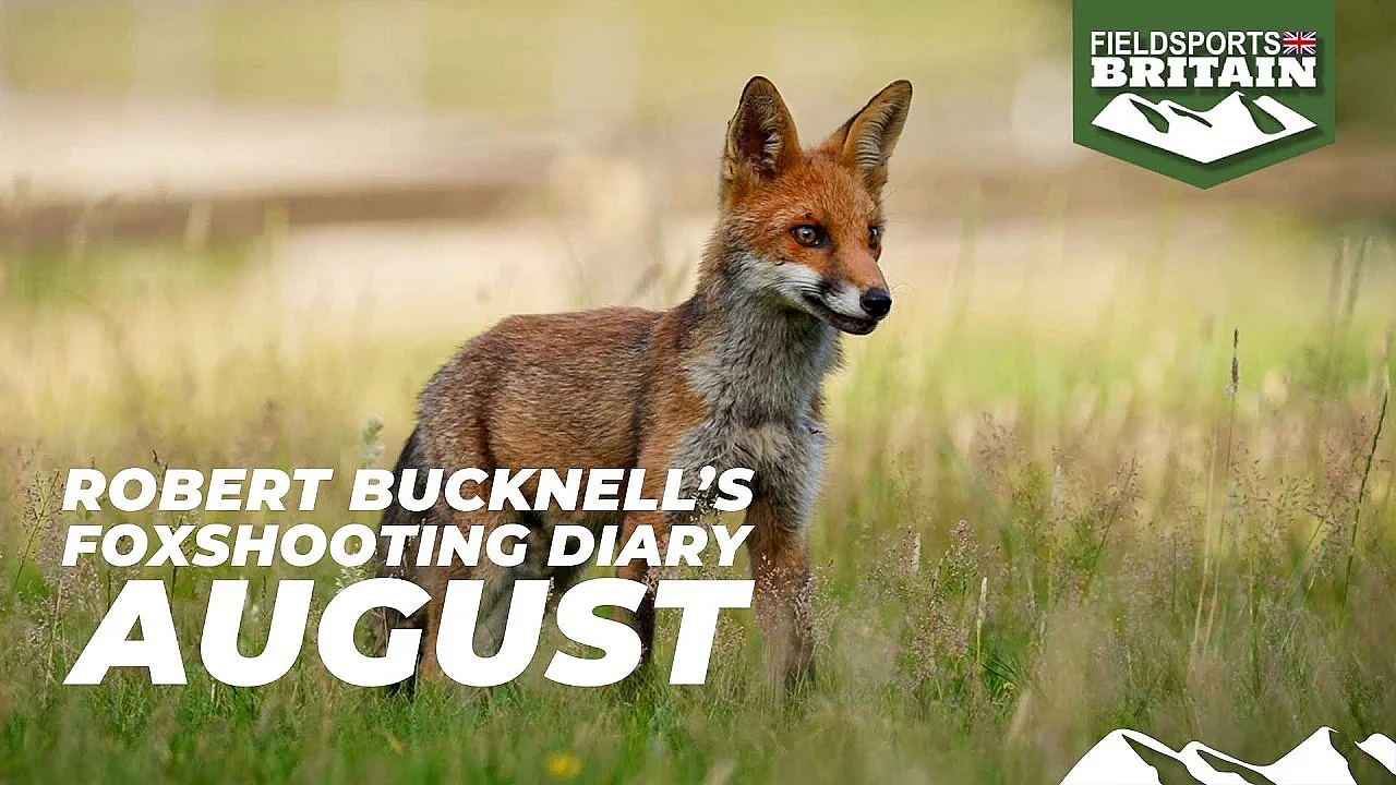 Robert Bucknell's foxshooting diary – August